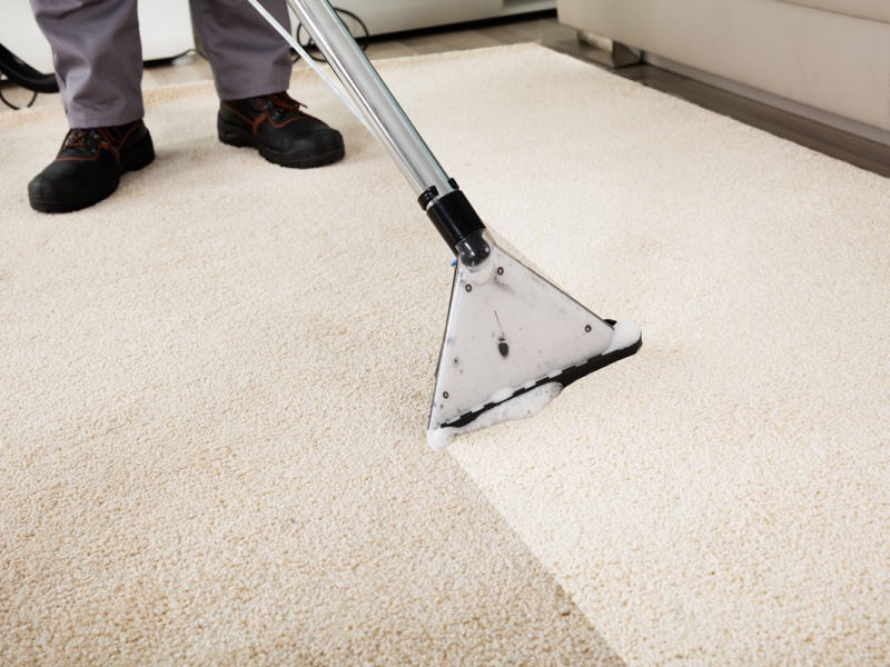 original carpet Professional carpet extraction cleaning